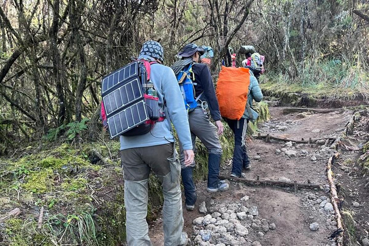 a group of people walking down a trail