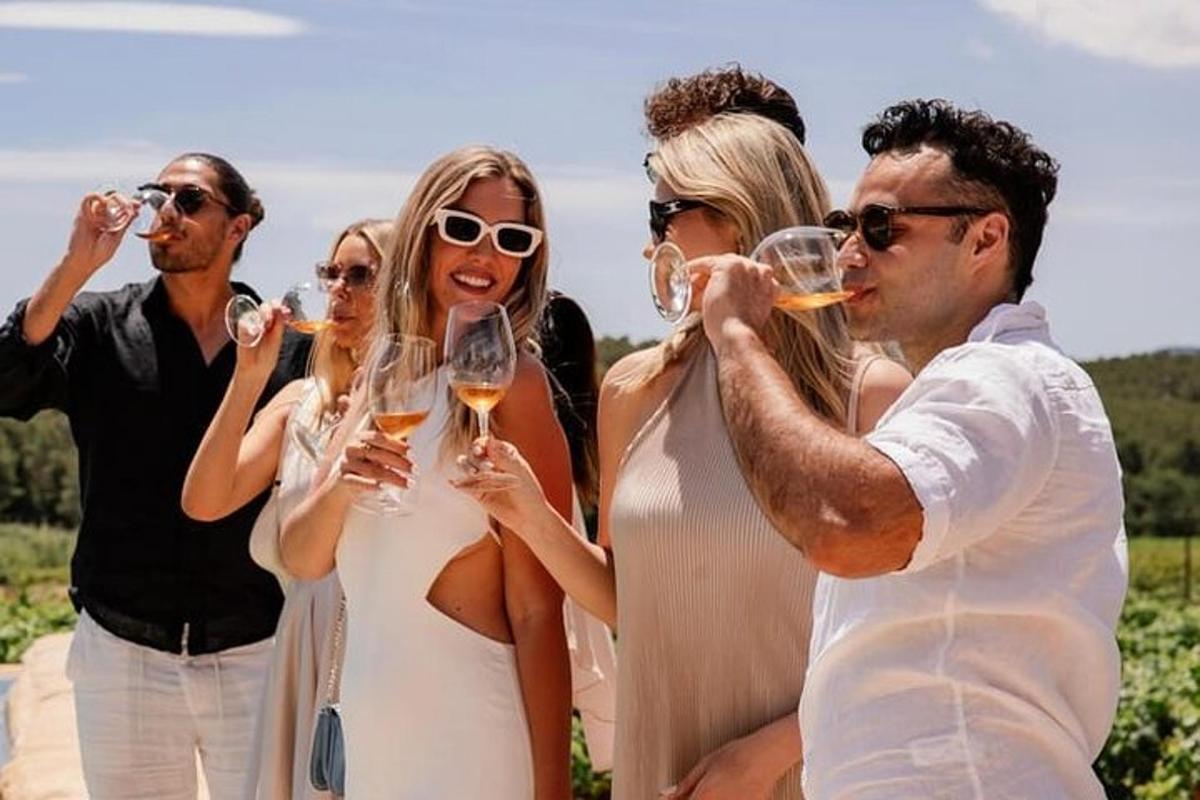 un gruppo di persone che bevono vino in un campo