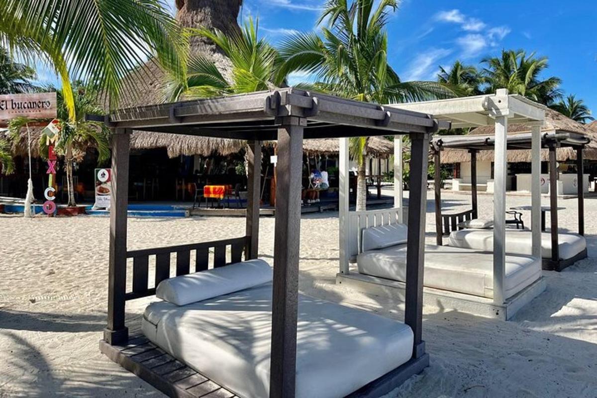 una fila di lettini su una spiaggia con palme