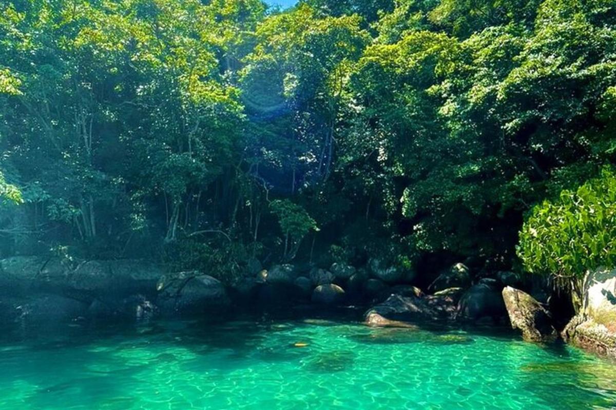 a river with blue water and trees in the background