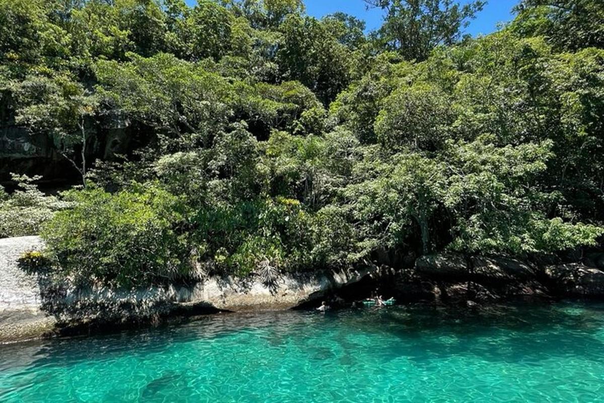 una pozza d'acqua blu accanto a una foresta