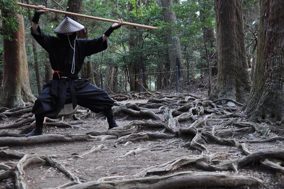 seseorang dengan kayu di dalam hutan