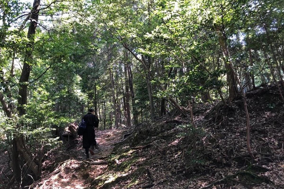 seorang lelaki berjalan di atas denai di dalam hutan