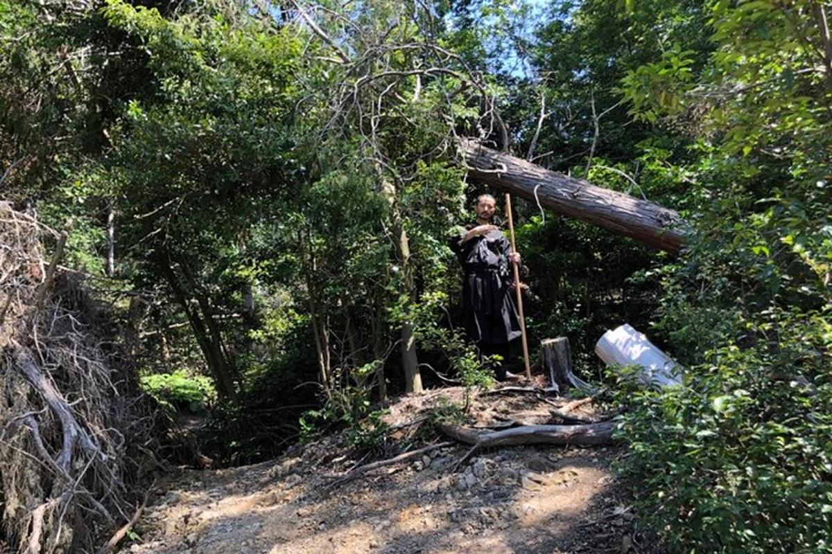 a person is standing in a tree on a trail