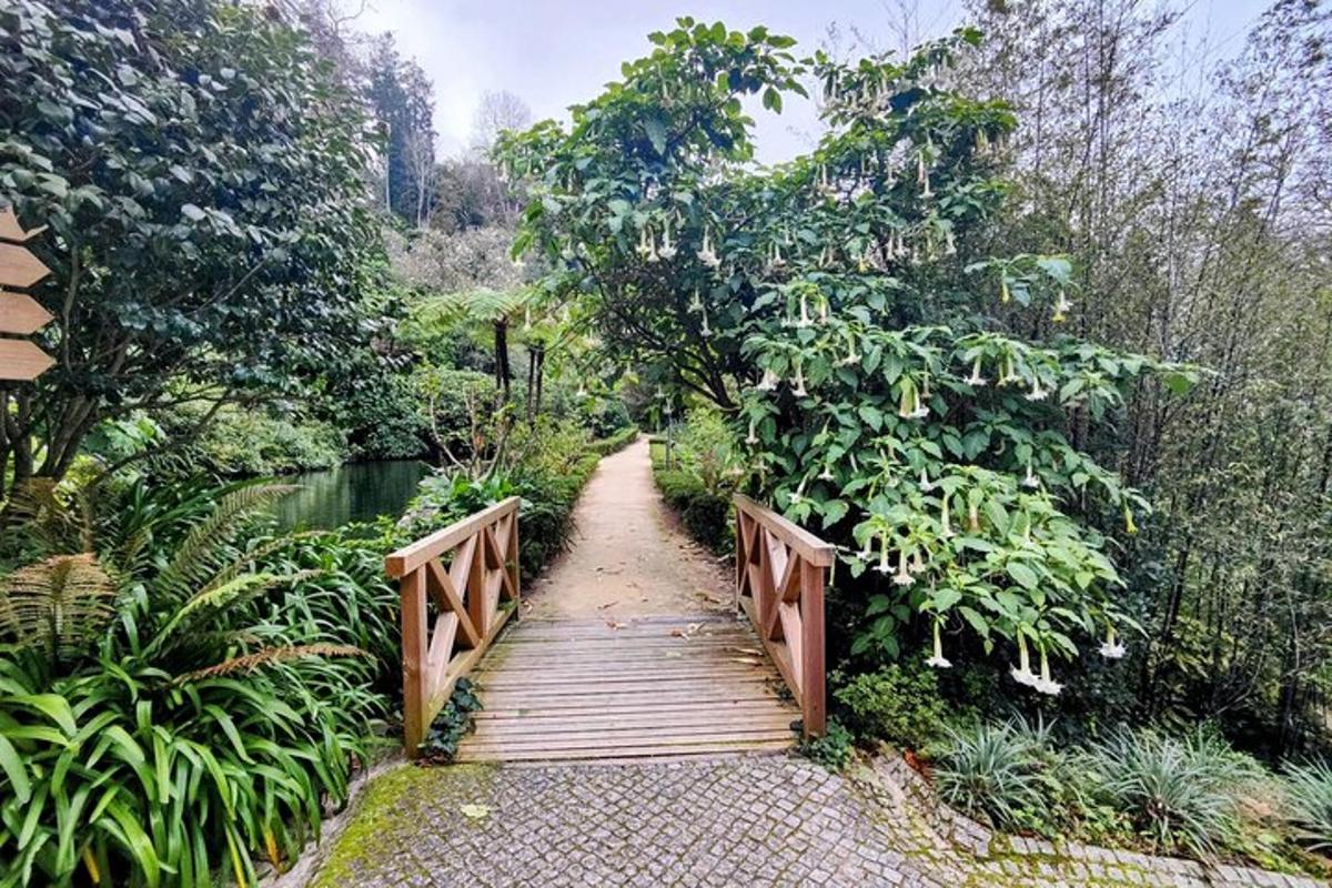 uma ponte de madeira sobre um rio em uma floresta