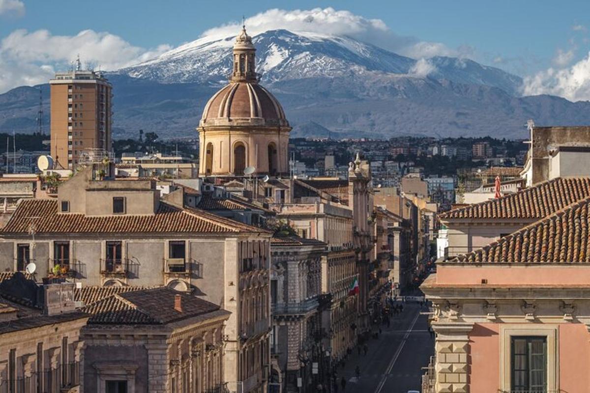 a view of a city with mountains in the background