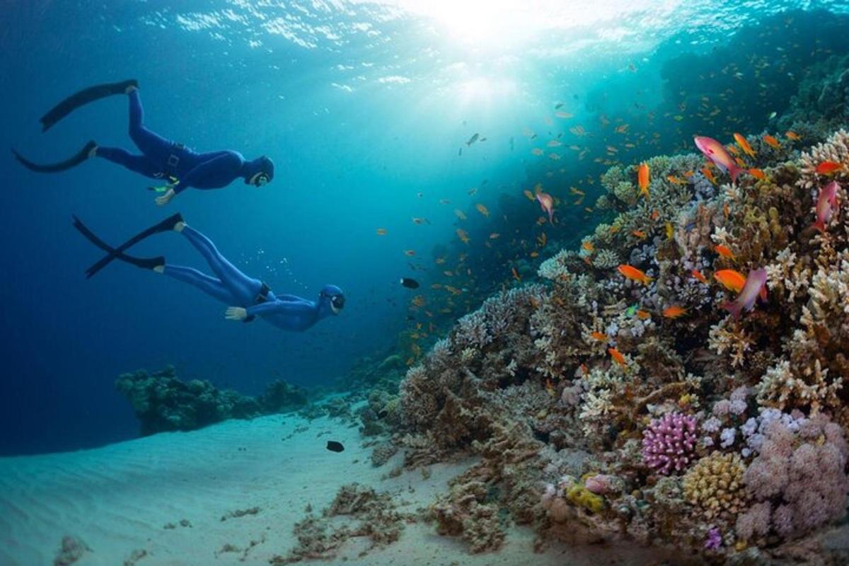 Dos personas nadando en el océano cerca de un arrecife de coral.