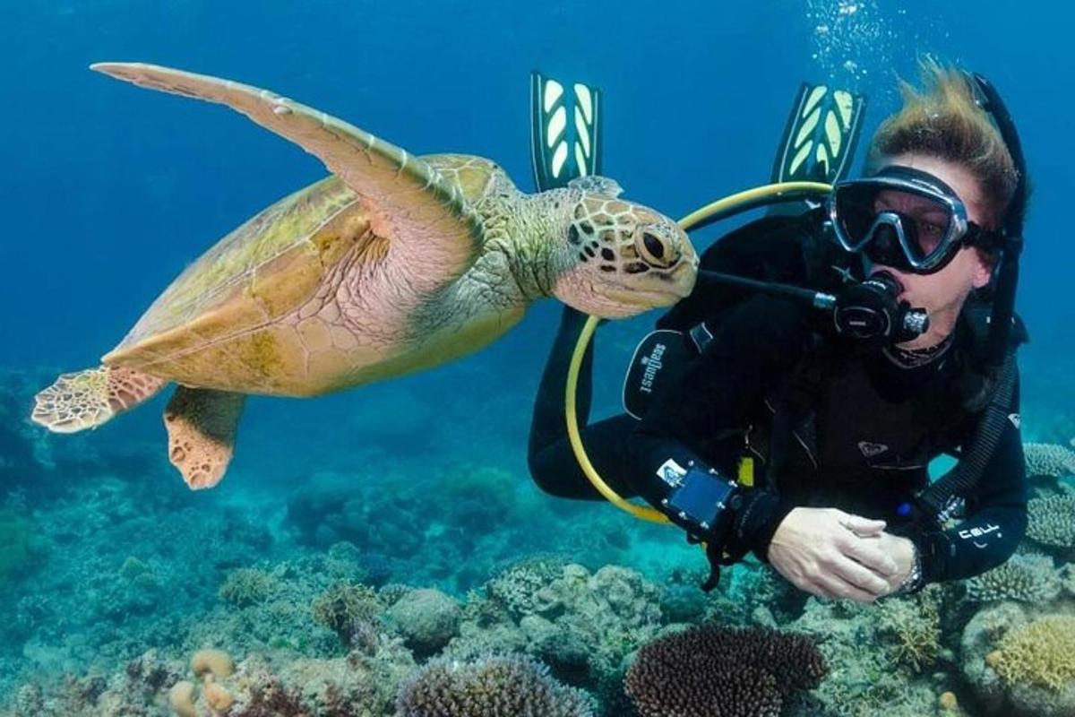 um homem tirando uma foto de uma tartaruga debaixo d'água