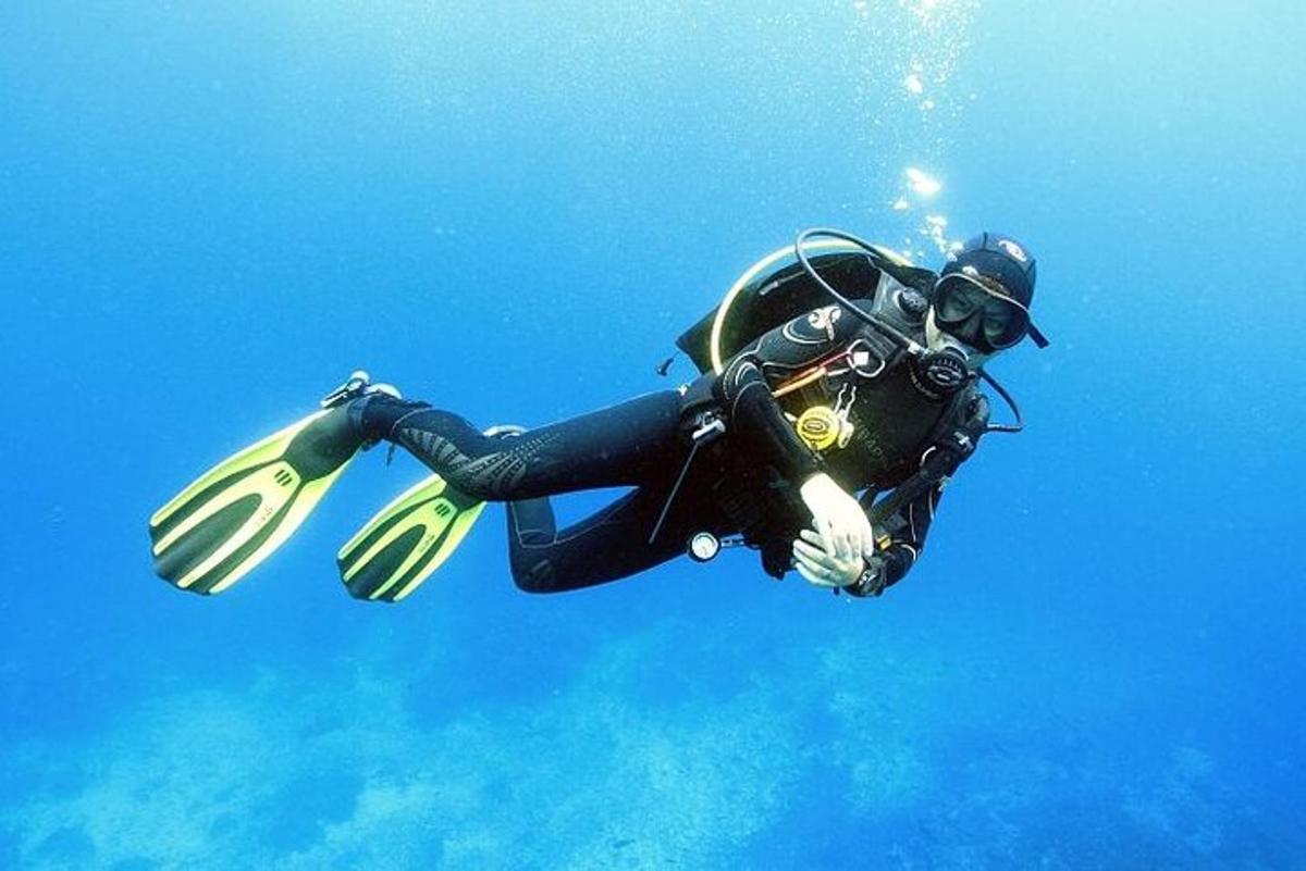 Una persona con traje de buzo está nadando en el agua.
