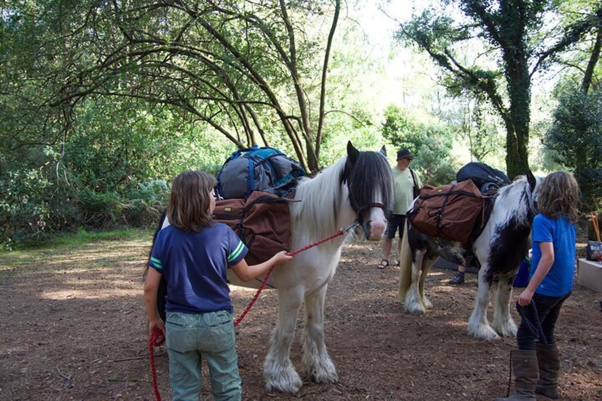 a group of people standing next to a horse