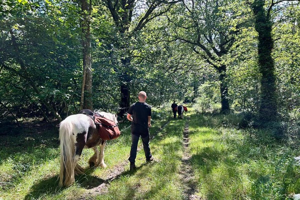 a man walking down a trail with a horse