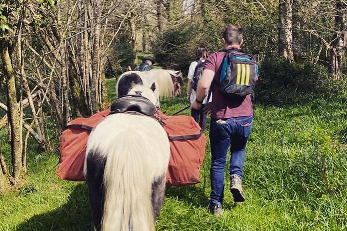 a man with a backpack walking down a trail with a horse