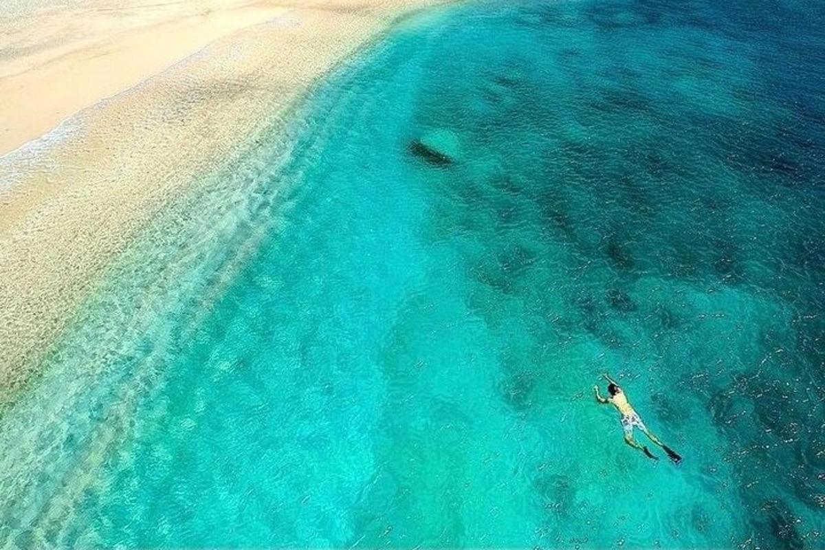 uma pessoa nadando no oceano perto de uma praia