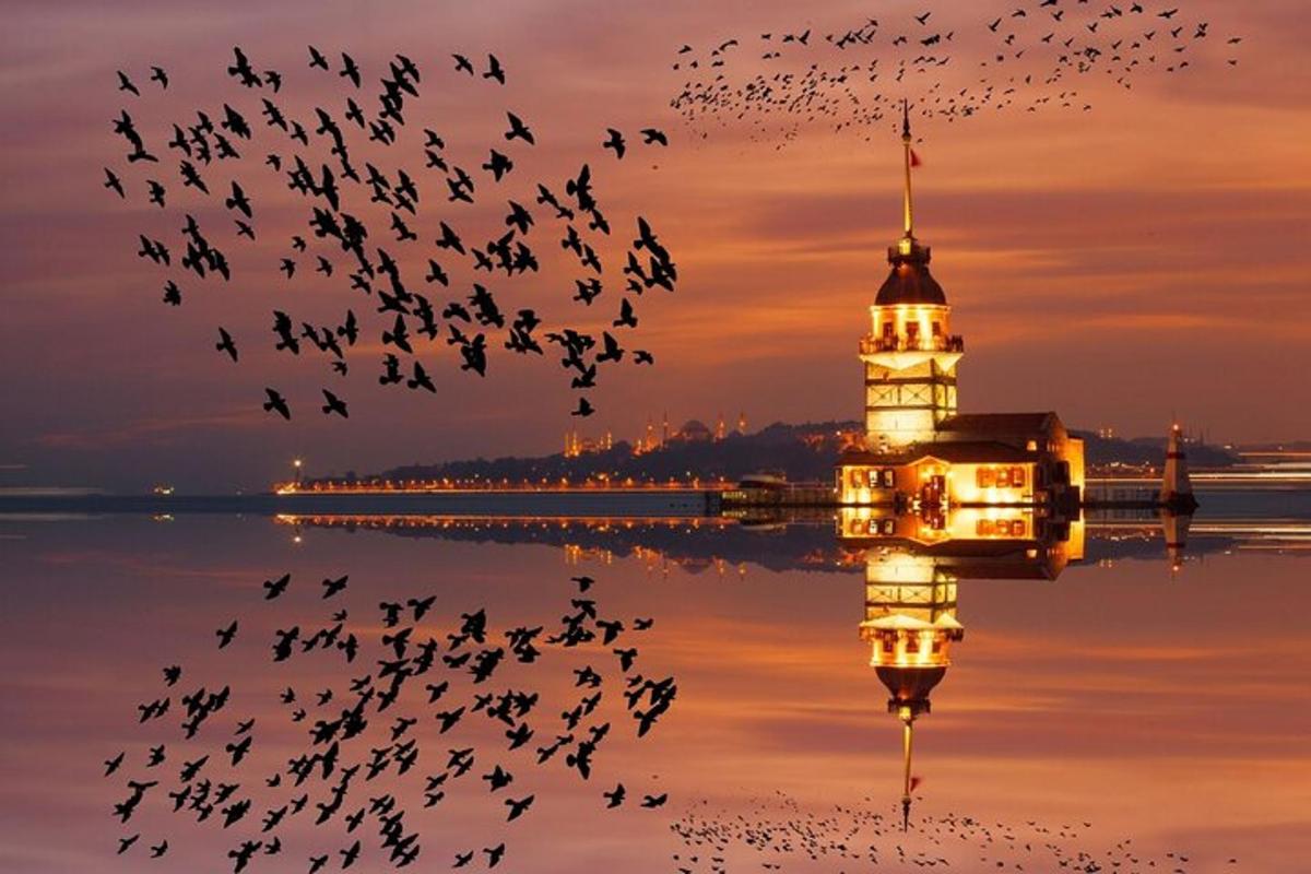 Attractiefoto 6