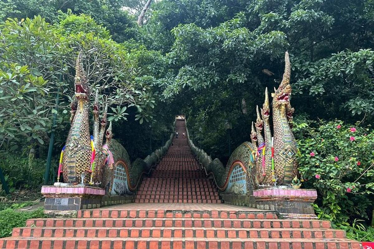 một bộ cầu thang trong một khu vườn có cây