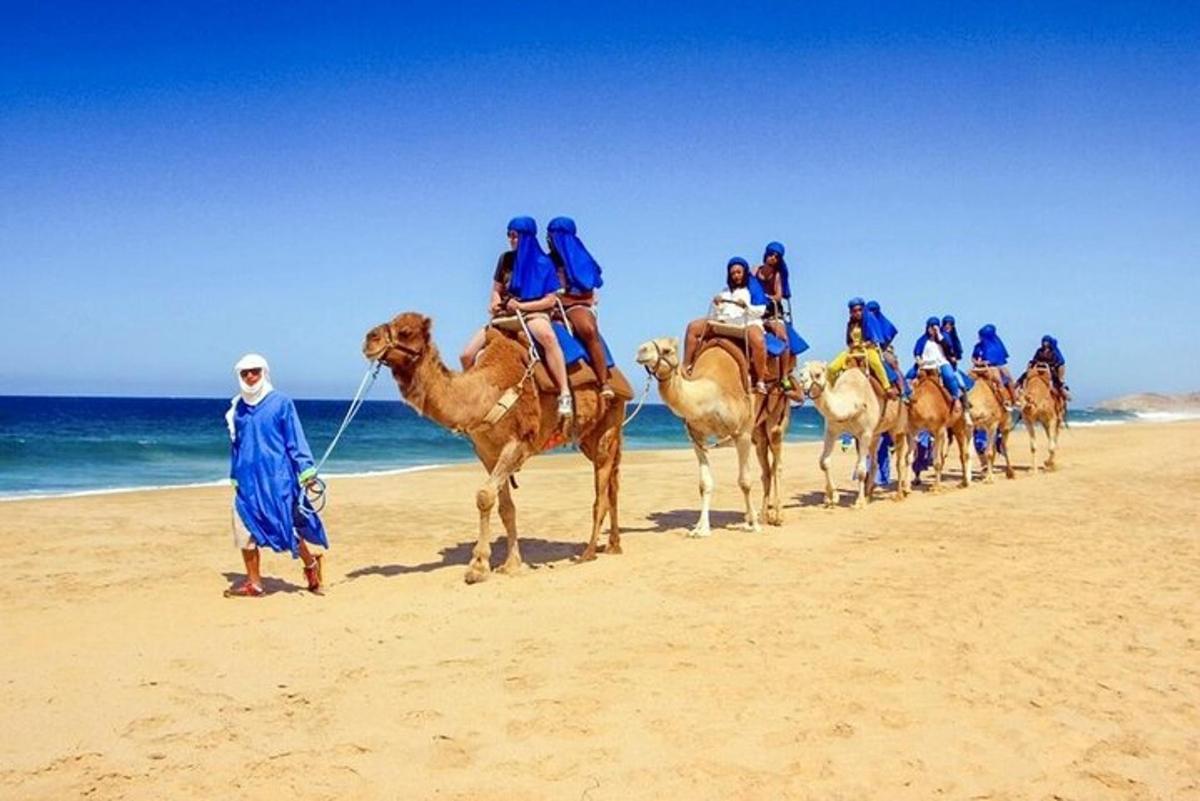 a group of people riding camels on the beach