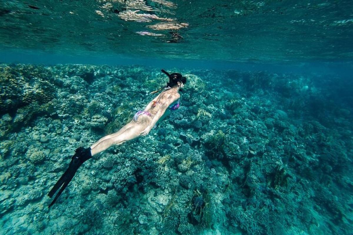 a woman swimming in the ocean over a coral reef