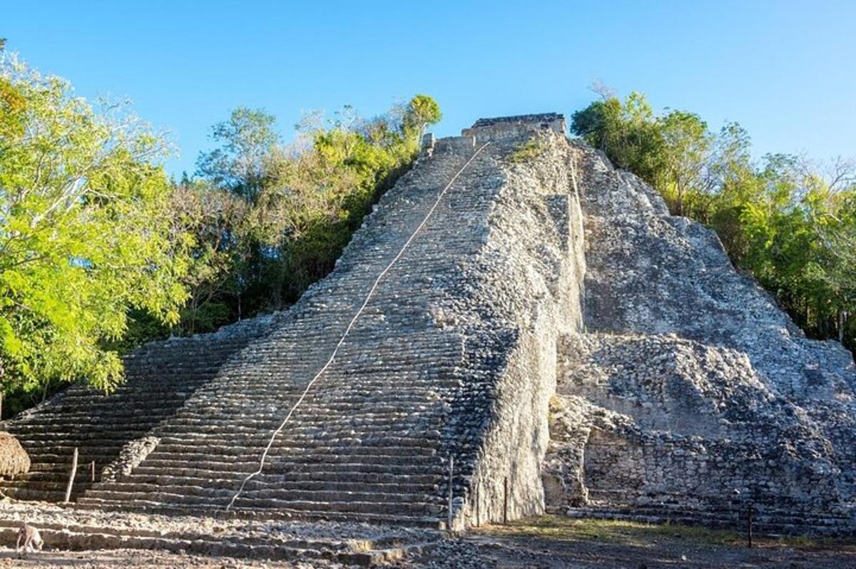 starověká pyramida se stromy na vrcholu