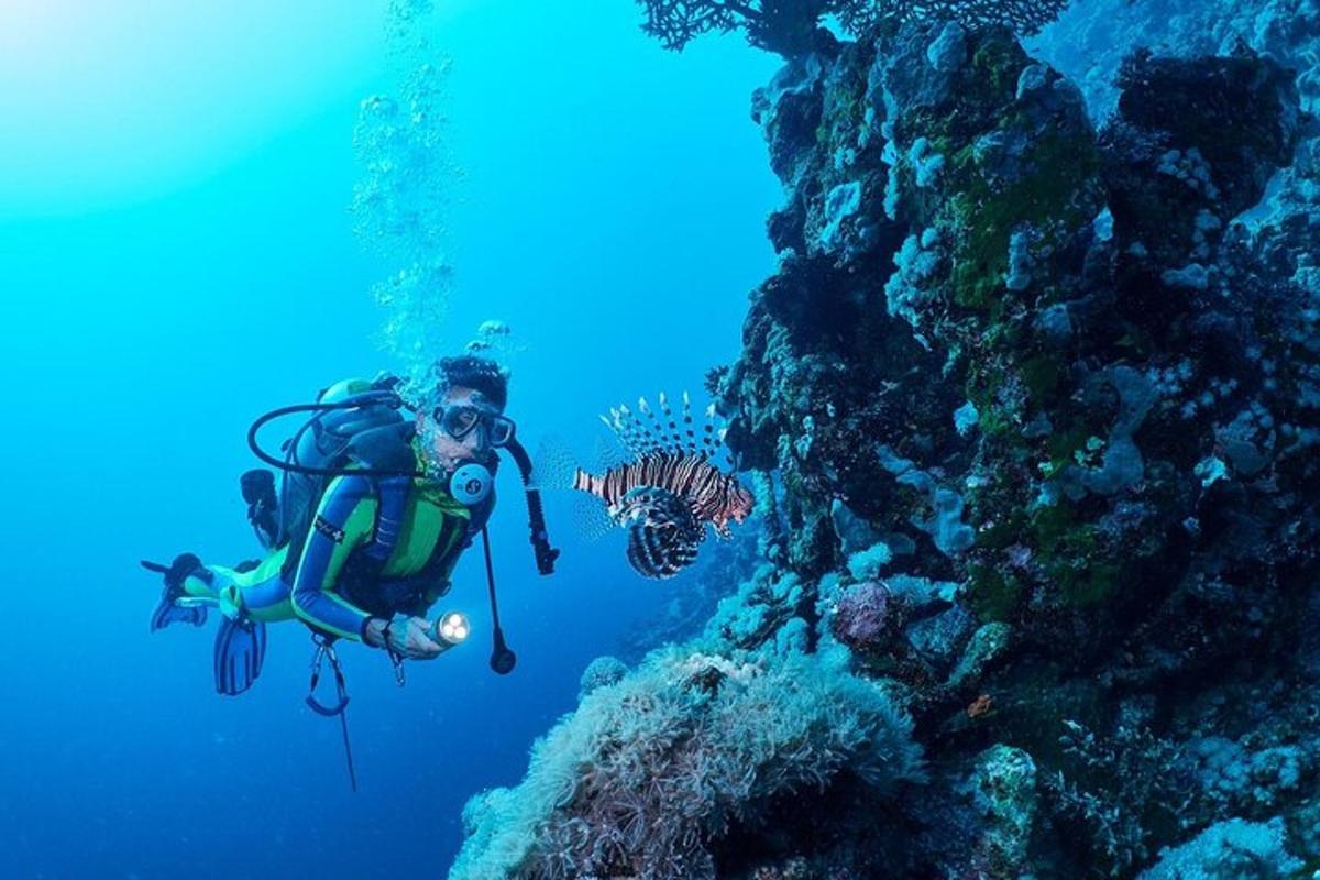 ang isang tao ay scuba diving sa karagatan