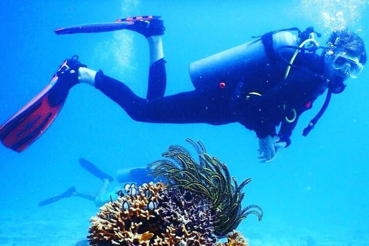 člověk se potápí v oceánu poblíž útesu