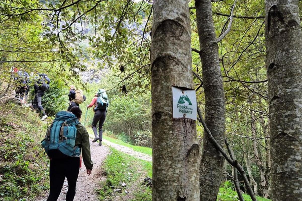 skupina lidí jdoucích po stezce v lese