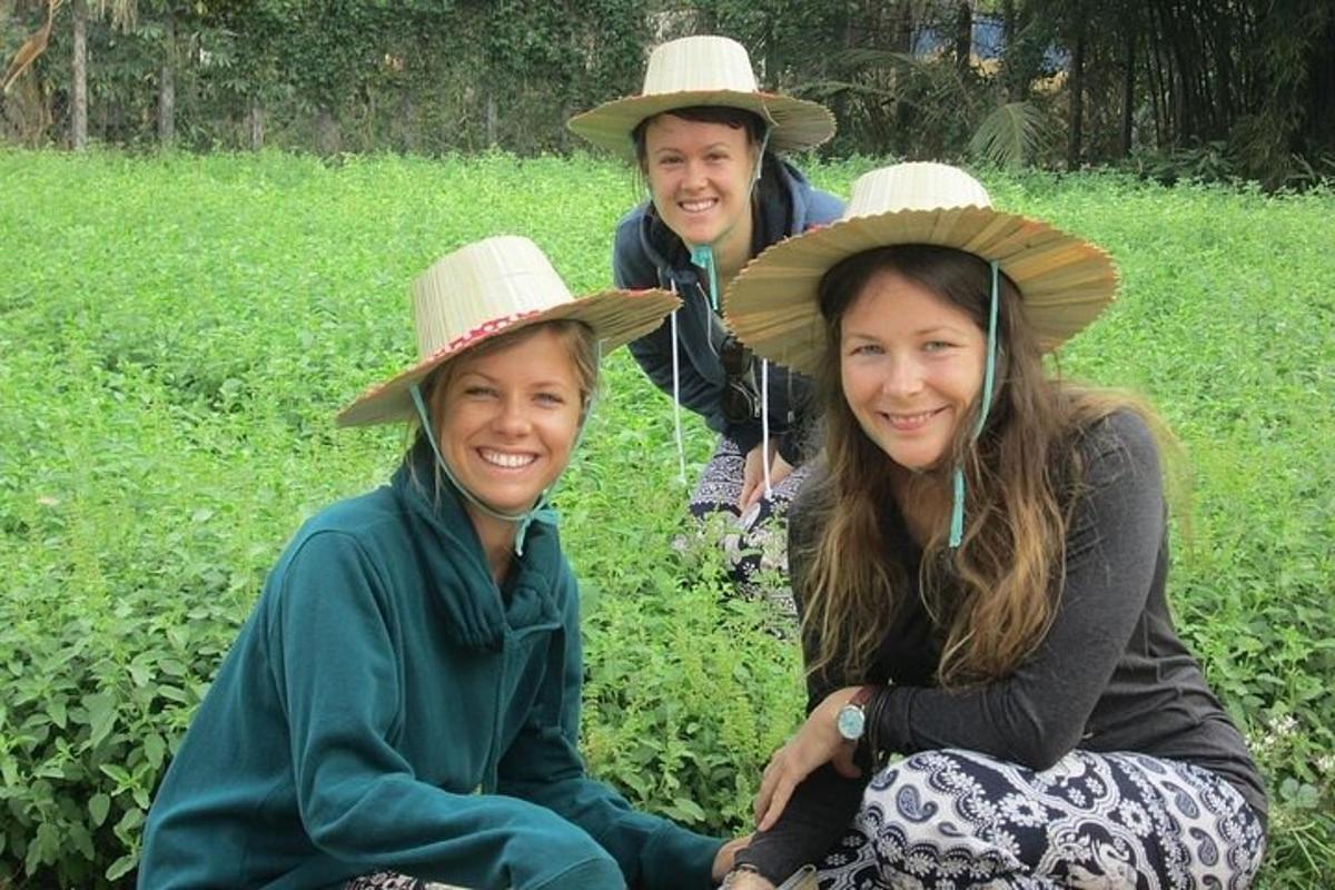 three people wearing hats sitting in a field