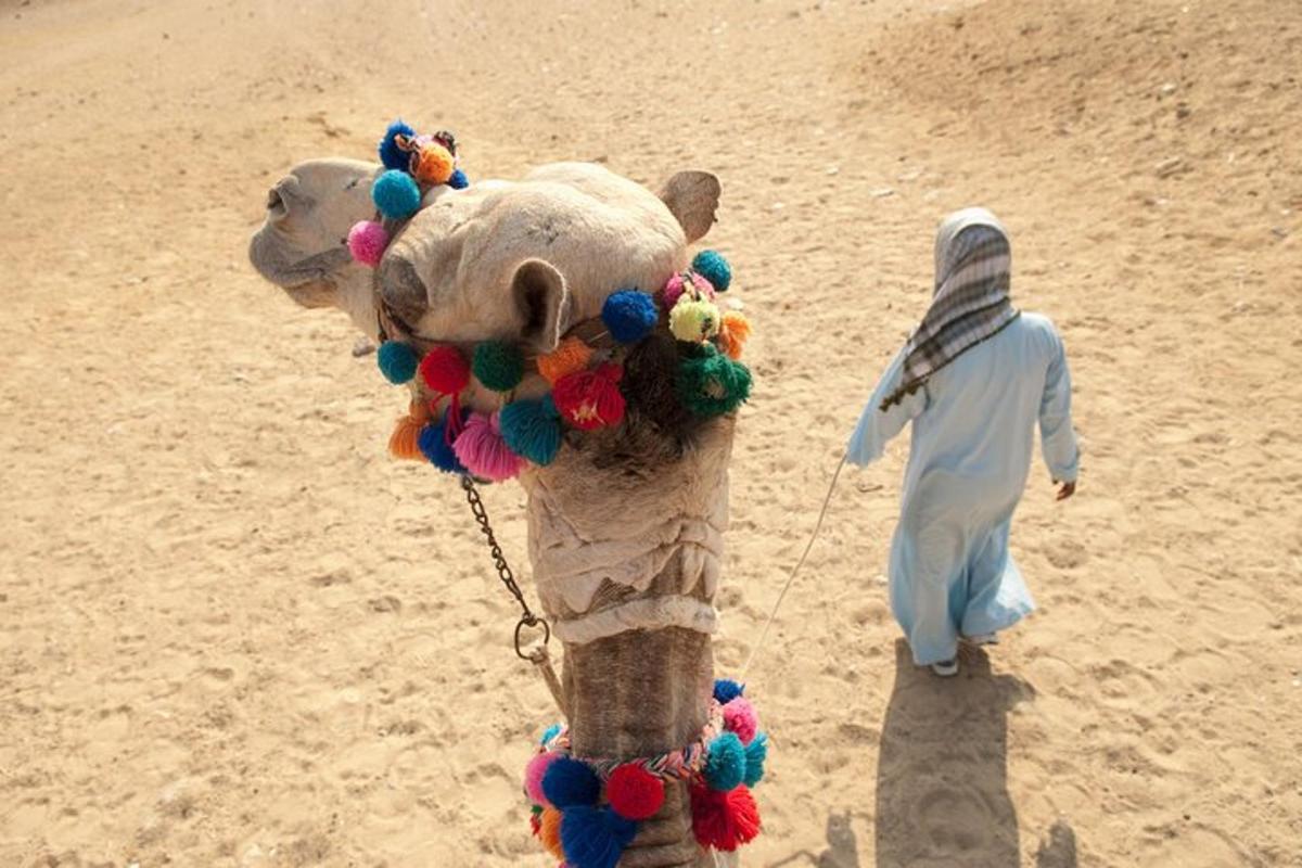 un uomo che cammina accanto a un animale di peluche sulla spiaggia