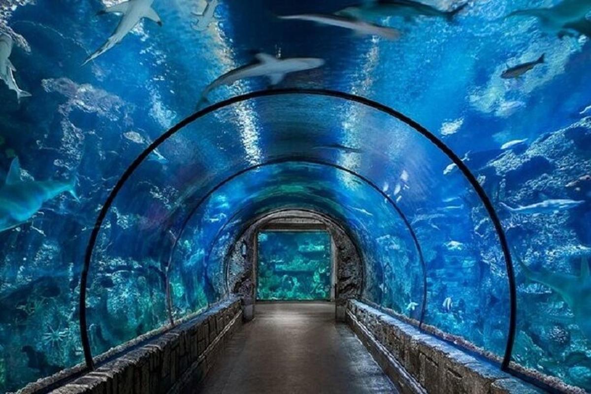 Attraction picture 4