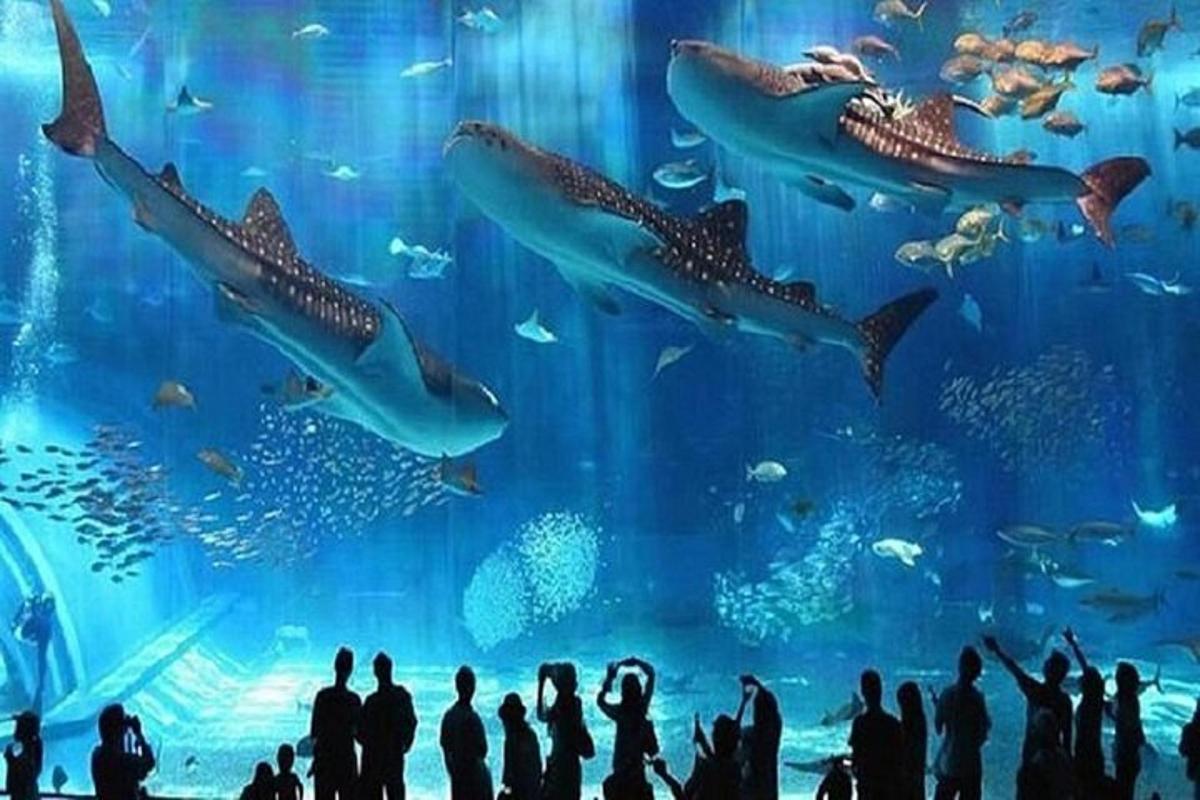 Attraction picture 5