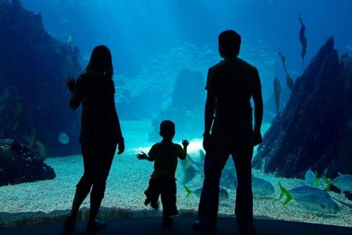 Attraction picture 7