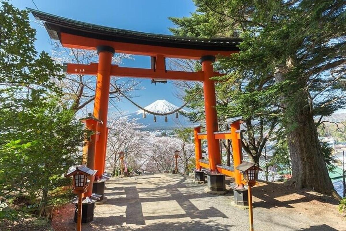 en orange torii-port i en park med et træ