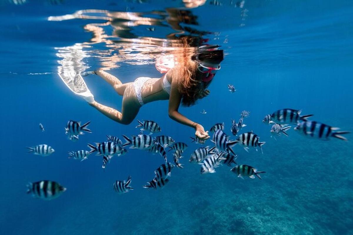 eine Frau schwimmt mit Fischen im Wasser