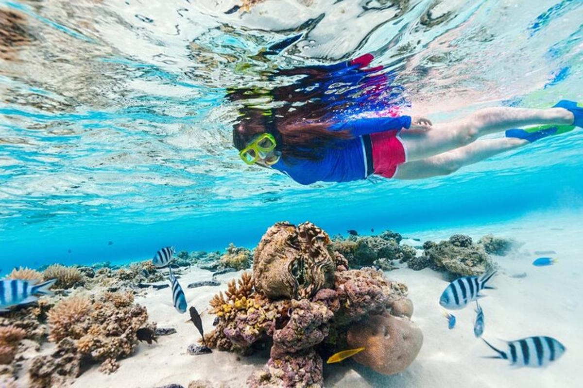 eine Person, die im Wasser in der Nähe eines Korallenriffs schwimmt