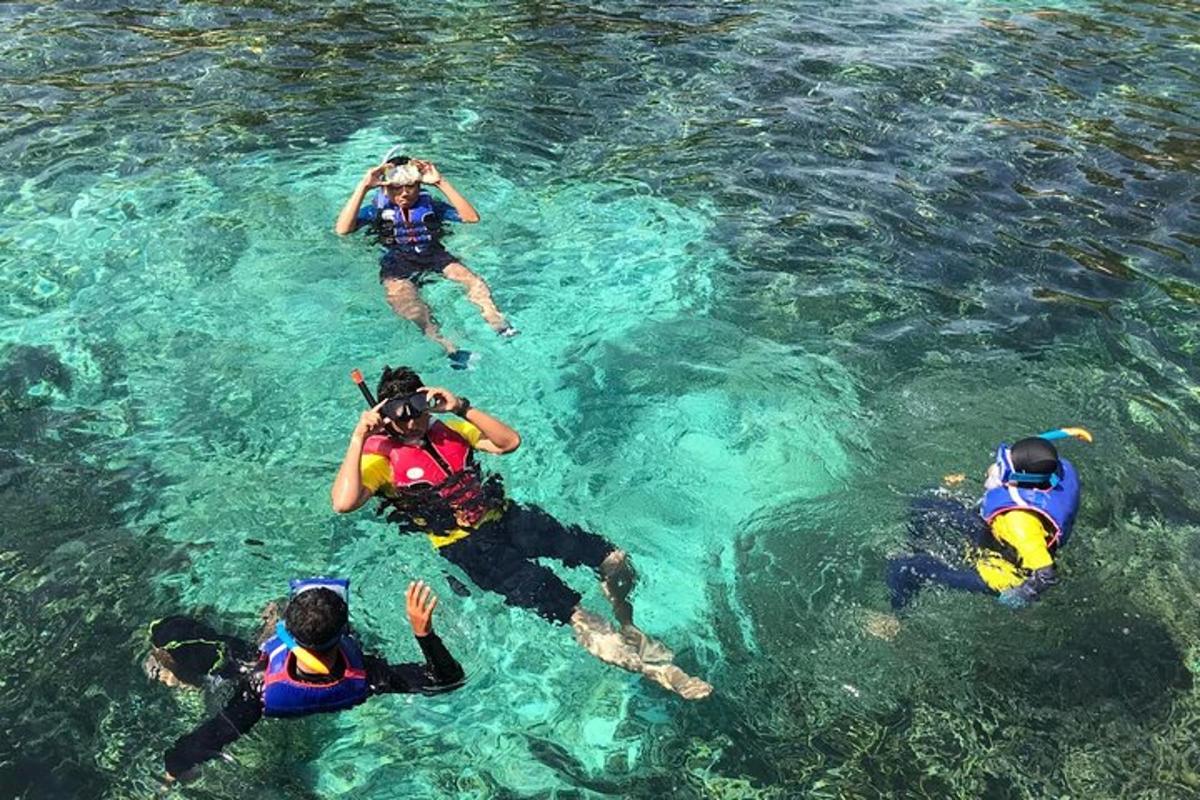 eine Gruppe von Menschen, die im Wasser schwimmen