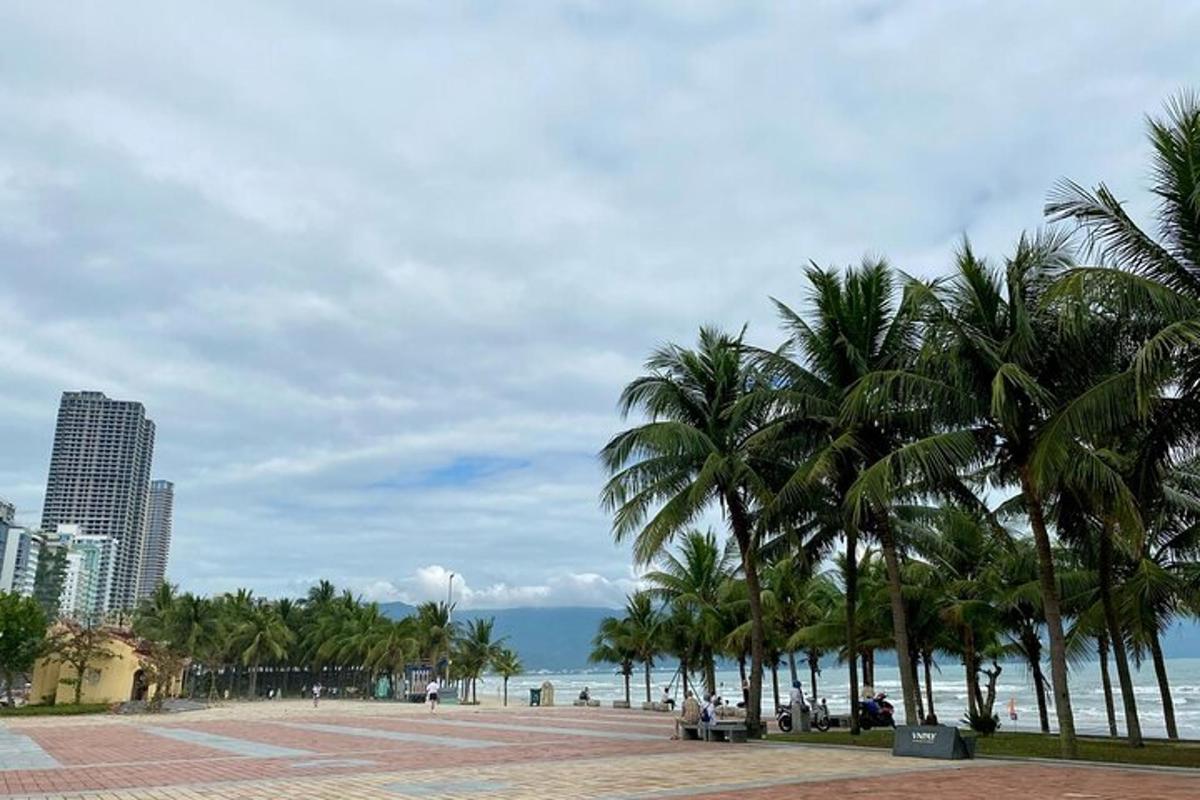 una fila di palme su una spiaggia vicino all'oceano