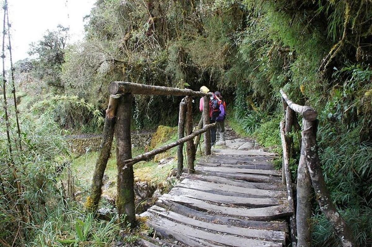 um grupo de pessoas caminhando sobre uma ponte de madeira