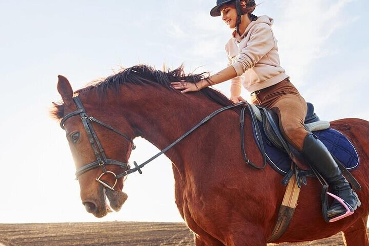 uma mulher montada em um cavalo marrom