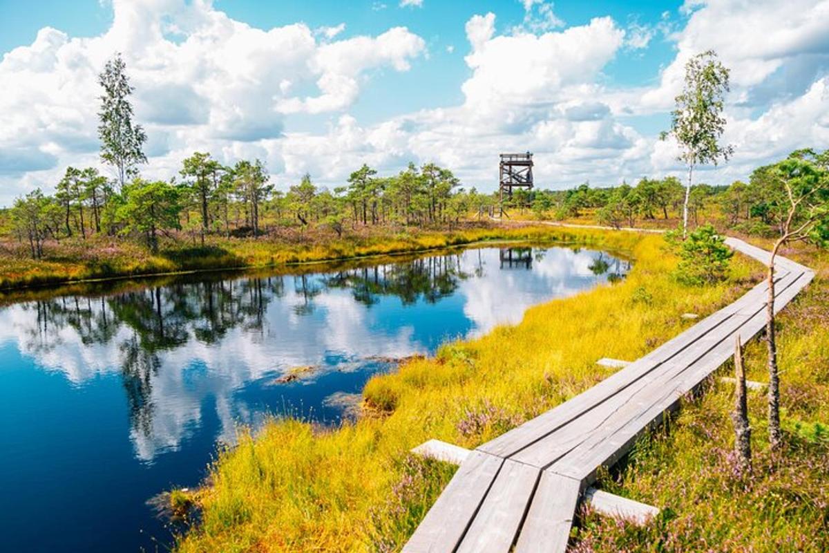 a wooden bridge over a river in a field
