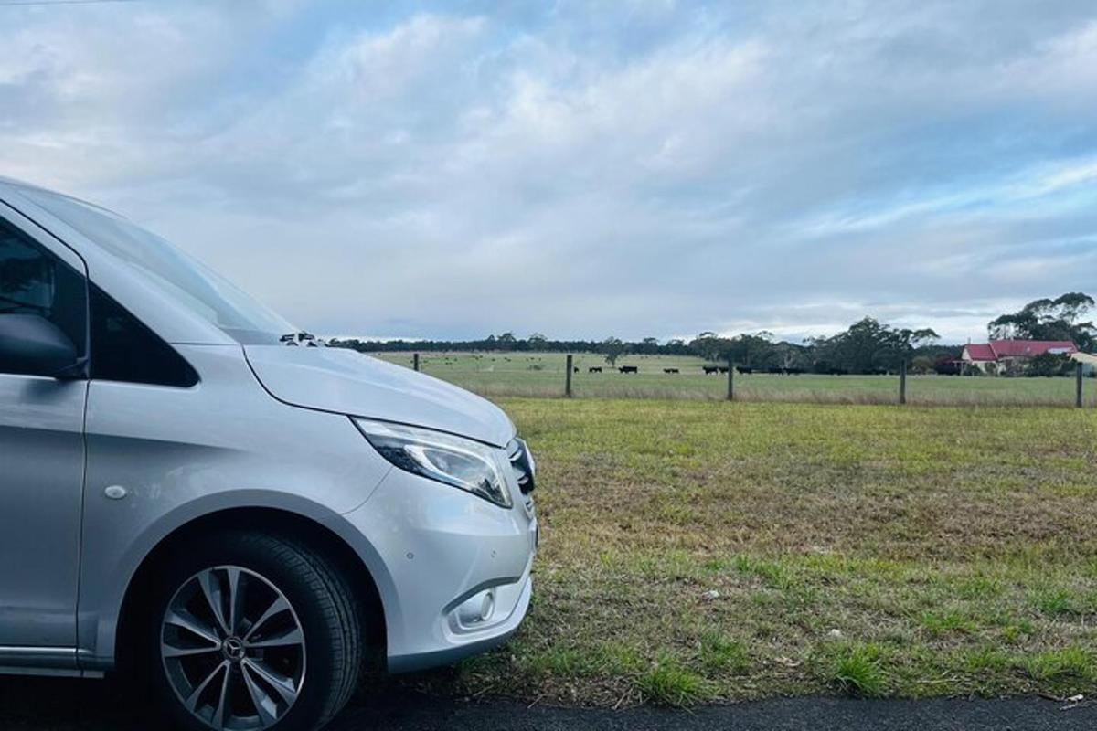 un'auto bianca parcheggiata davanti a un campo