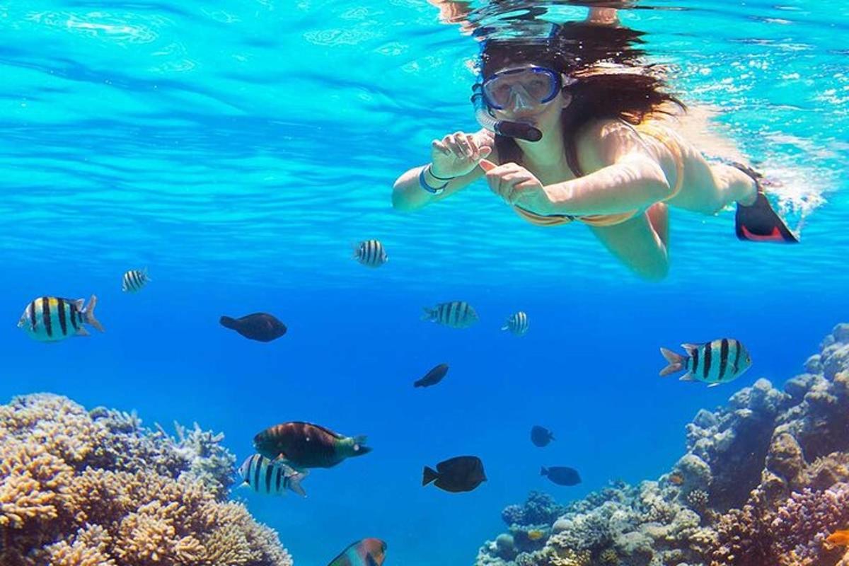 una mujer nadando en el agua con peces