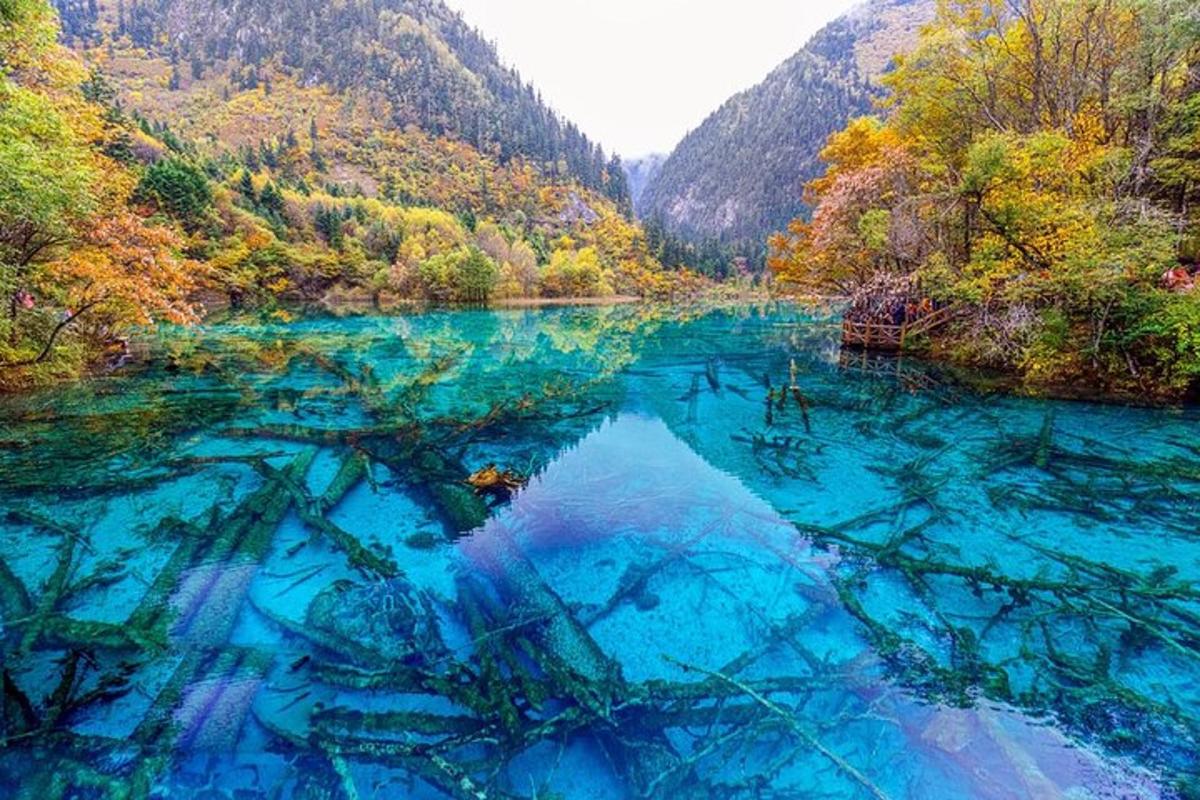 un fiume con acqua blu in mezzo a una foresta