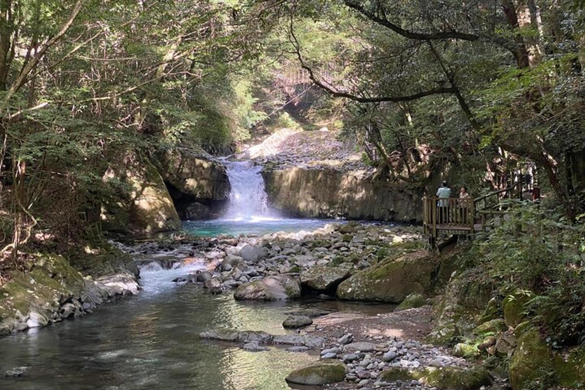 Fotografia 7 a atracției