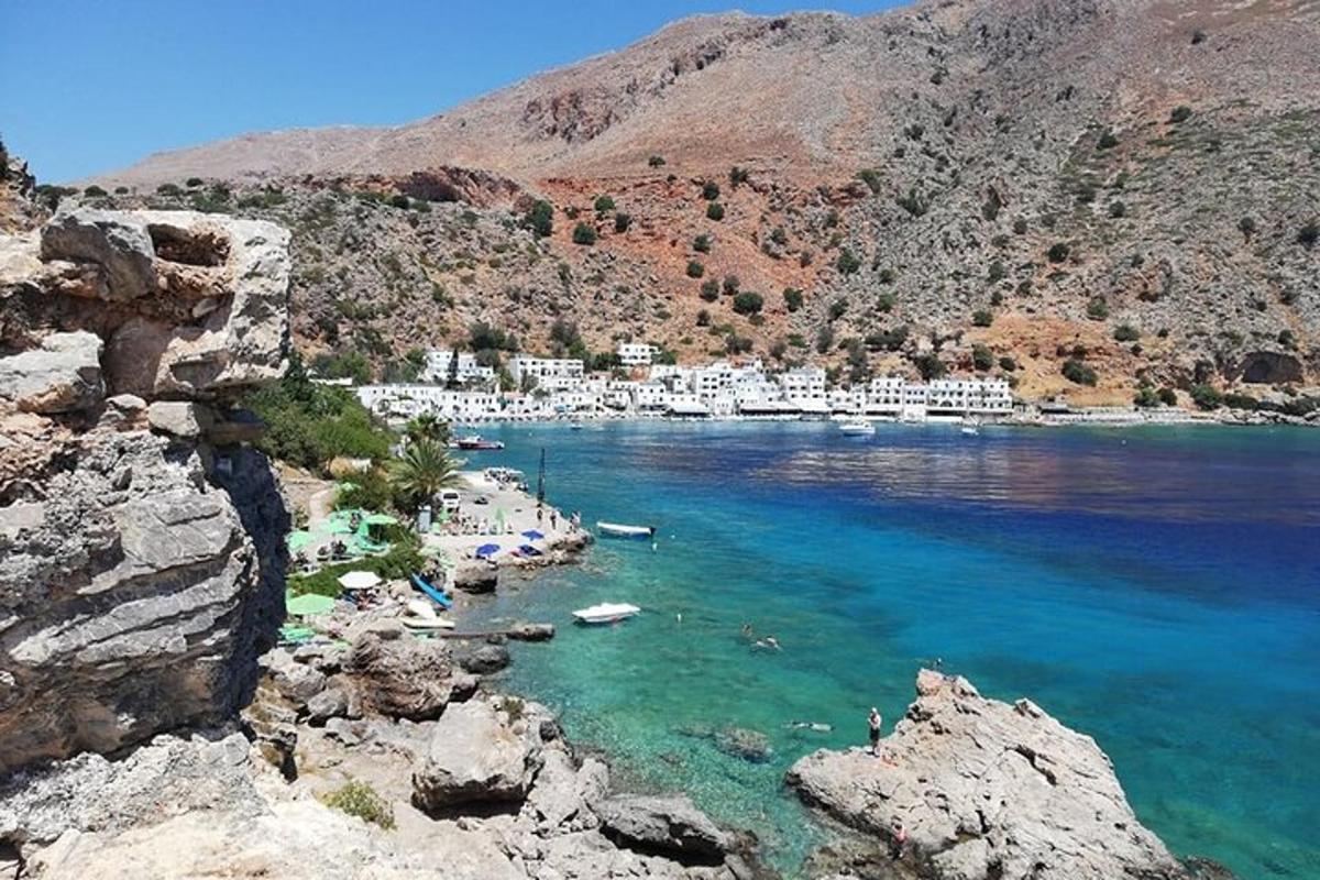 una spiaggia con un gruppo di barche in acqua