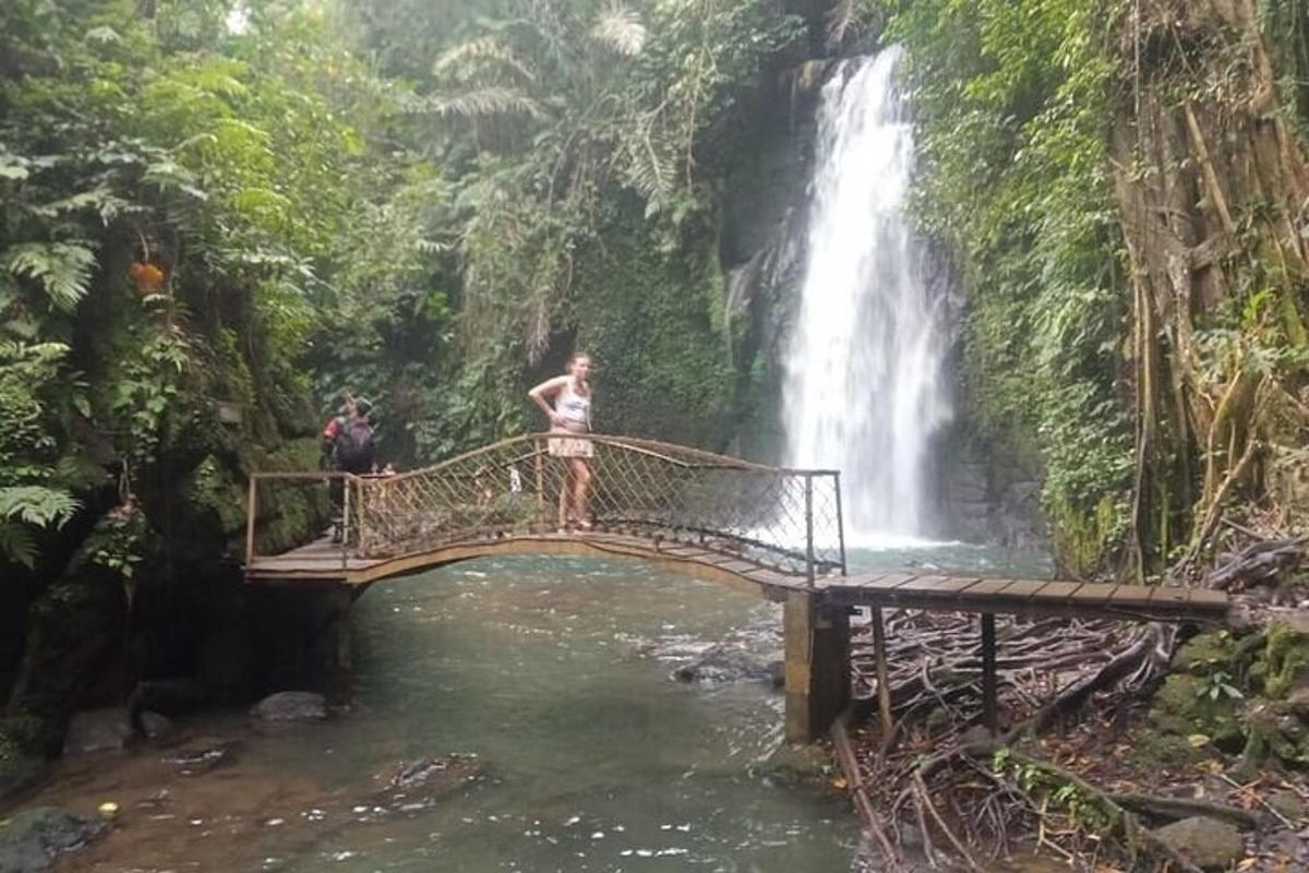 un uomo in piedi su un ponte di fronte a una cascata