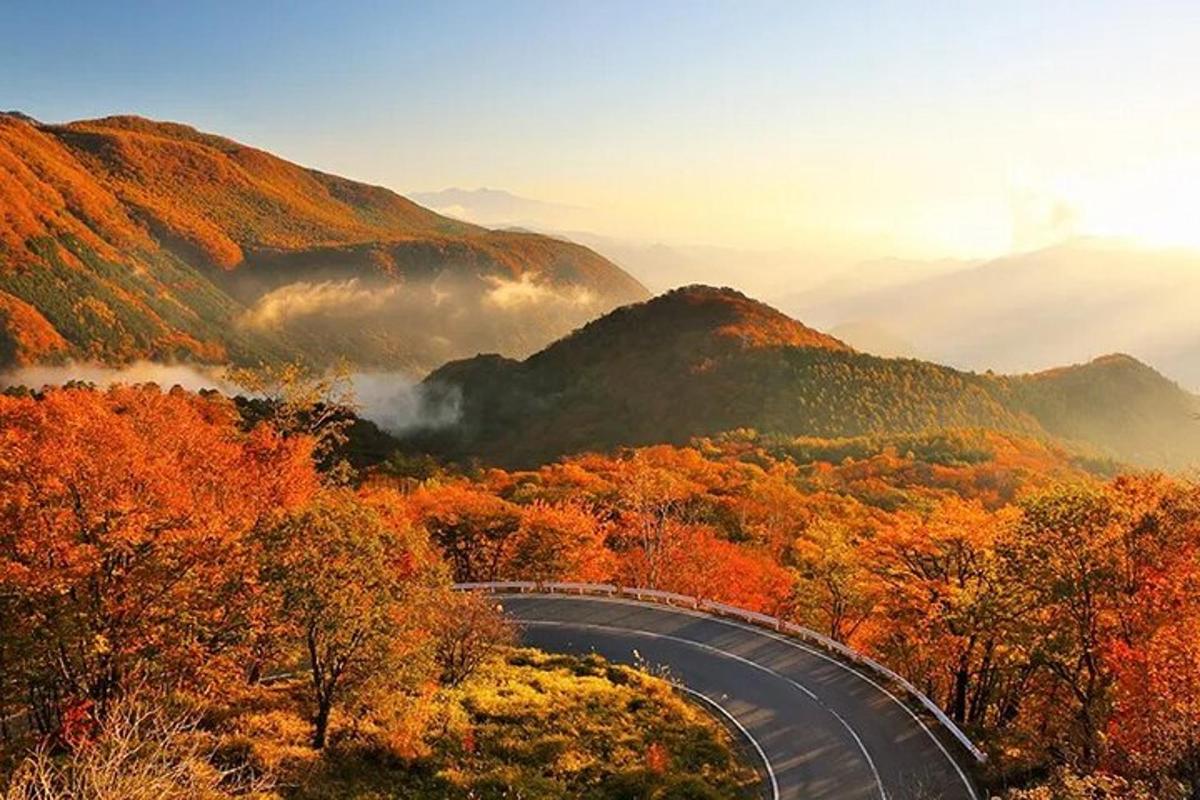 秋の山間の曲がりくねった道