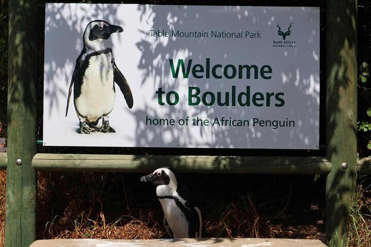 dua penguin berdiri di hadapan tanda selamat datang ke batu