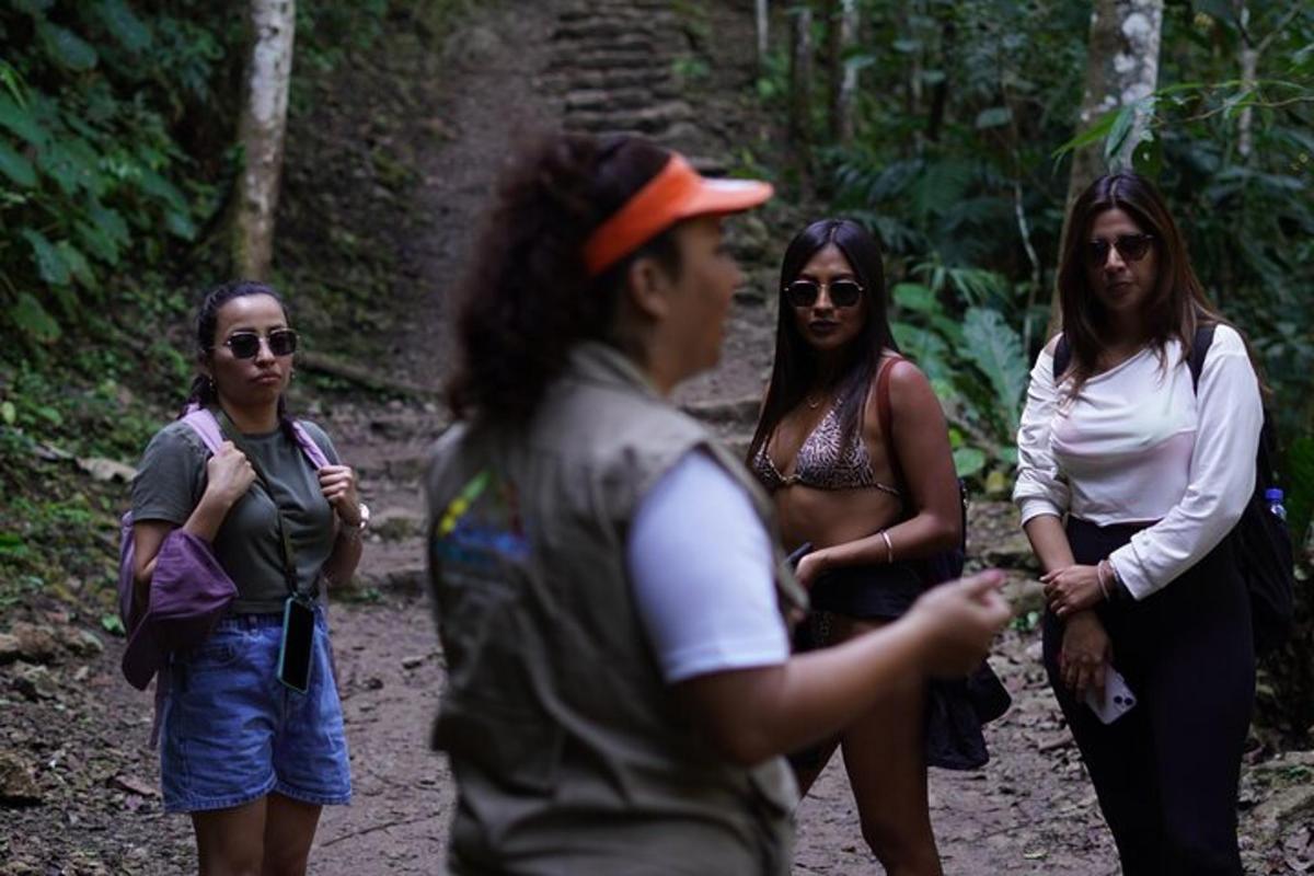 a group of people walking on a trail in the woods