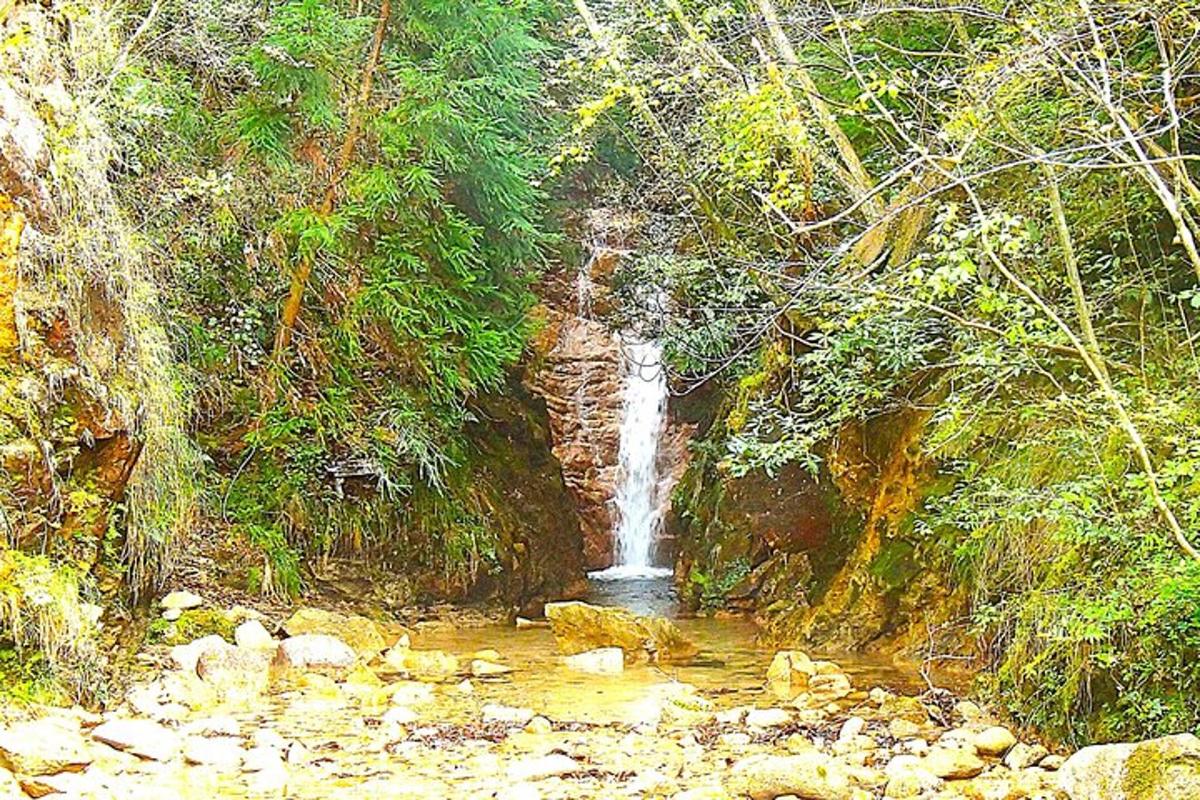 a waterfall in the middle of a river with trees