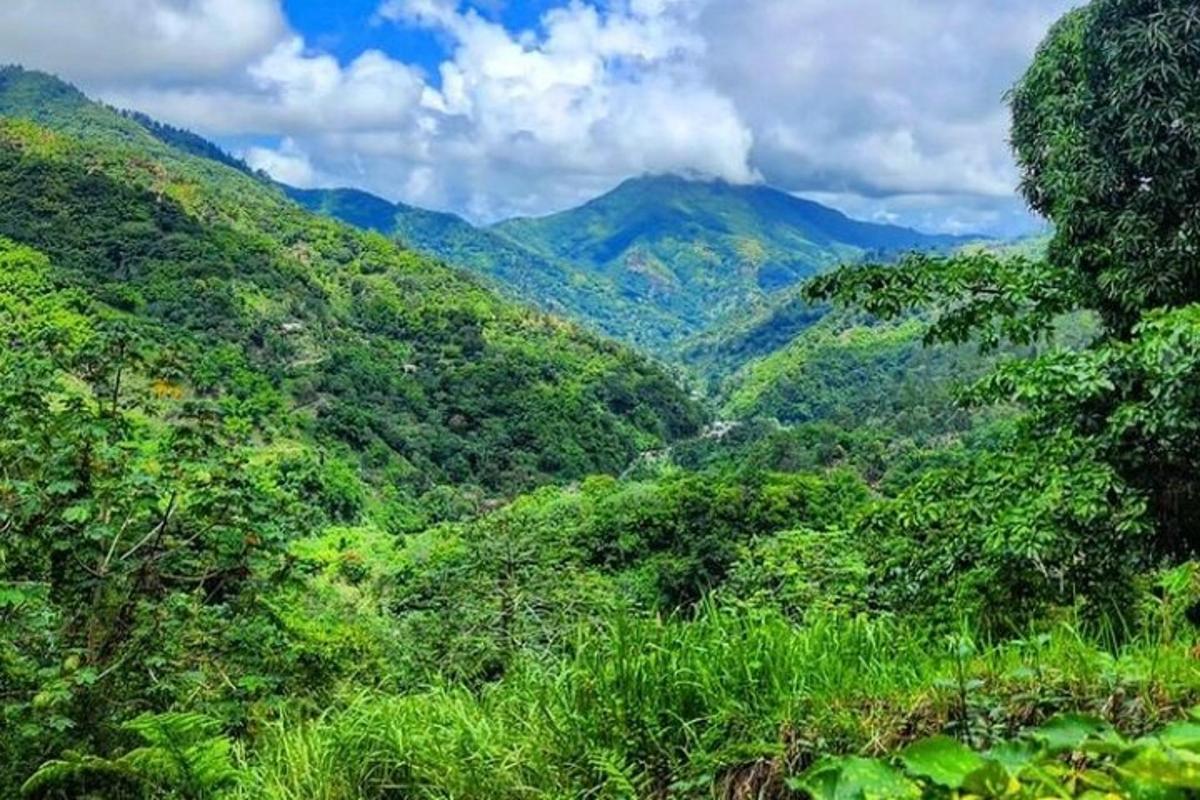 a view of auliculiculiculiculiculiculiculiculiculiculiculic