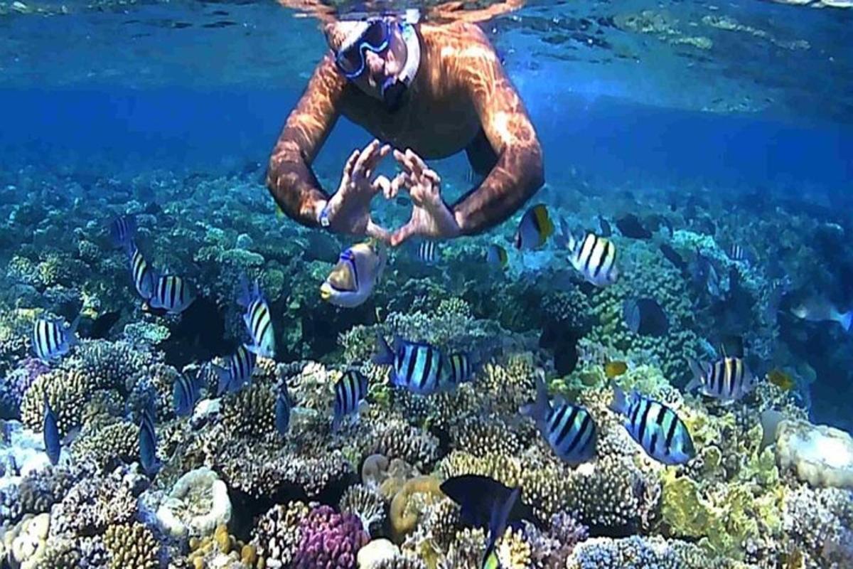 ein Mann im Meer, der ein Korallenriff betrachtet